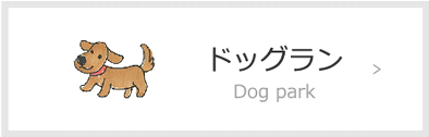 ドッグラン